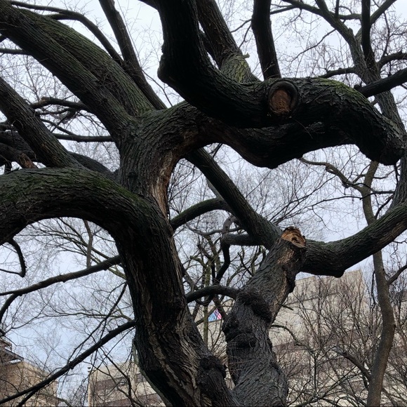 Meet your Posher, Naaz - Picture 1 of 1